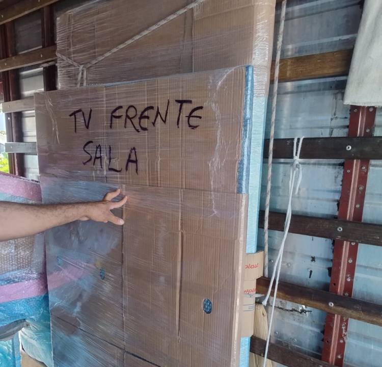 Carretos e Mudanças BH (8)